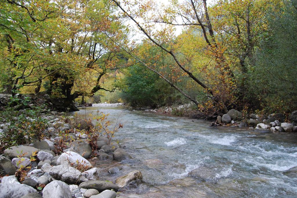 Dryades Guesthouse Ano Khora Cameră foto