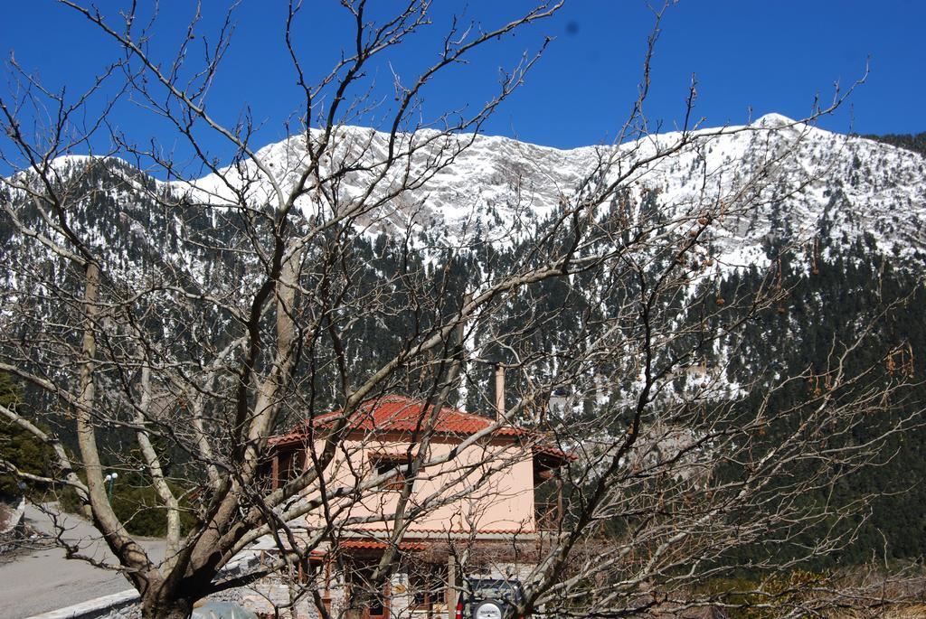 Dryades Guesthouse Ano Khora Exterior foto